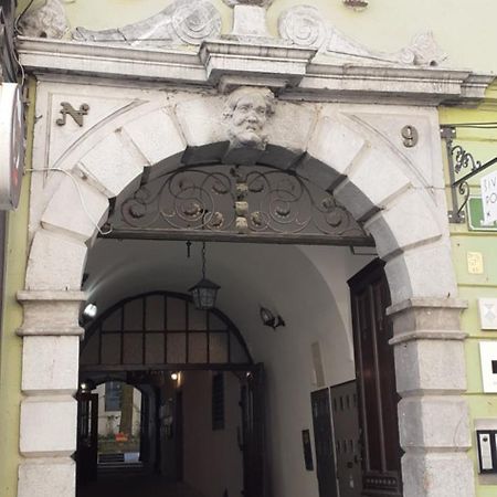 Lovely Old City-Center Apartment Ljubljana Bagian luar foto