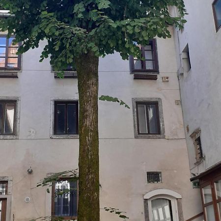 Lovely Old City-Center Apartment Ljubljana Bagian luar foto