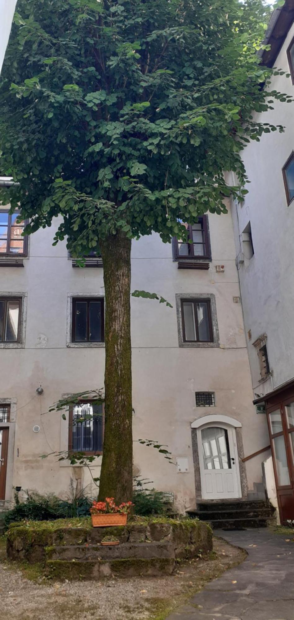 Lovely Old City-Center Apartment Ljubljana Bagian luar foto