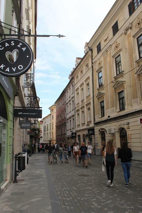 Lovely Old City-Center Apartment Ljubljana Bagian luar foto